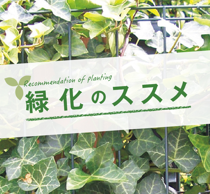 緑化のススメ