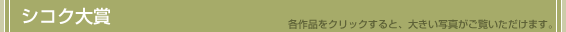 シコク大賞