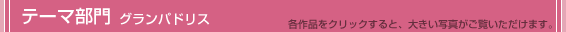 テーマ部門（グランパドリス）