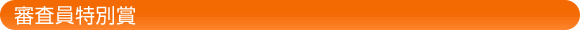 審査員特別賞