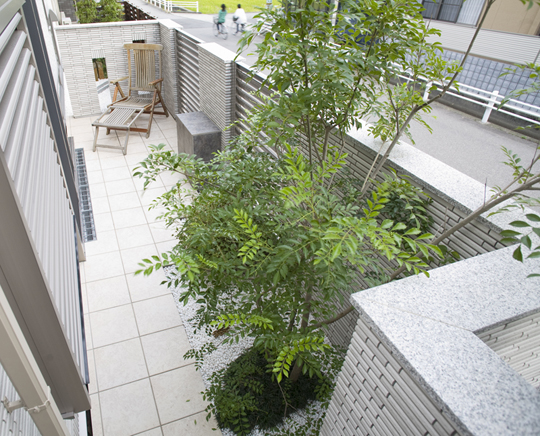 ������В�|�� �l