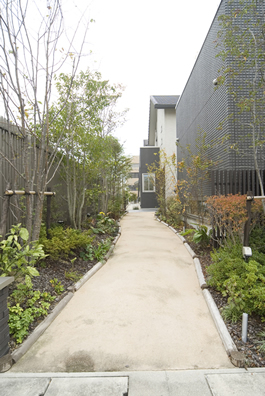 �N���E���G�N�X�e���A������� �l