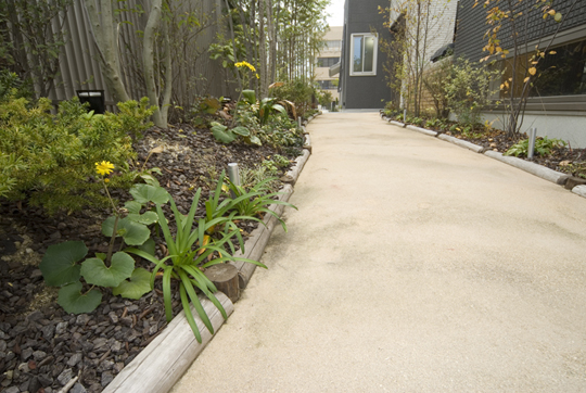 �N���E���G�N�X�e���A������� �l