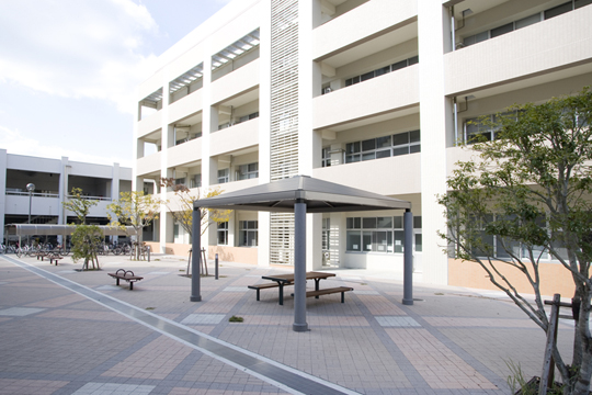 ���쌚������� �l