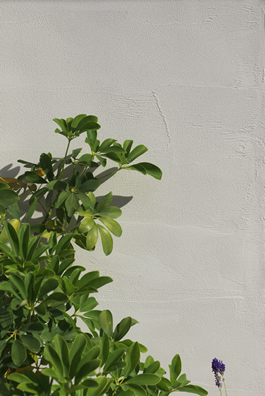 �L����А��������H�� �l