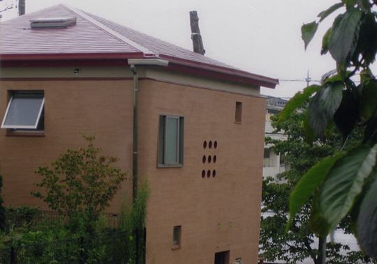 ������Џo�V���X �l