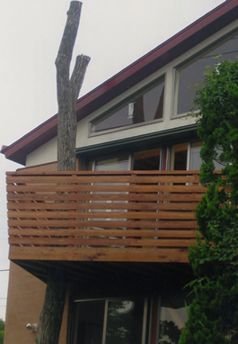 ������Џo�V���X �l