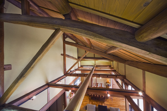 �������z�f�U�C�� �ꋉ���z�m������ �l