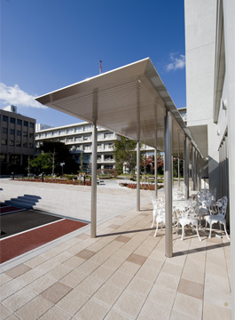 ������А��݌v �l