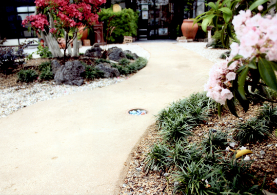 �A�x����(��) �l