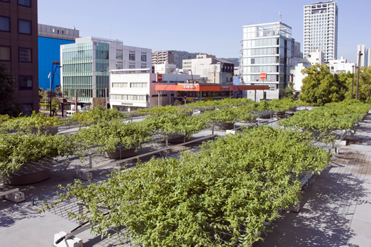 (��)�����s �l