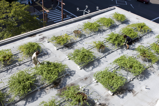 (��)�����s �l