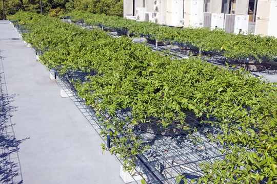 (��)�����s �l