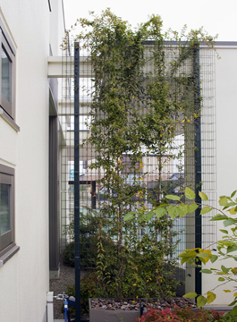 (��)���쏤�ƌ��z������ �ꋉ���z�m������ �l