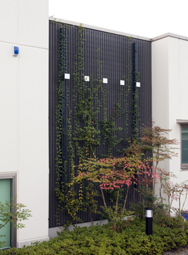 (��)���쏤�ƌ��z������ �ꋉ���z�m������ �l