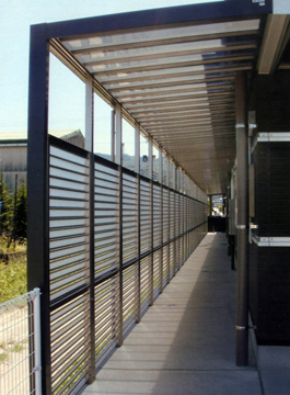 ����(��)�����x�X �l