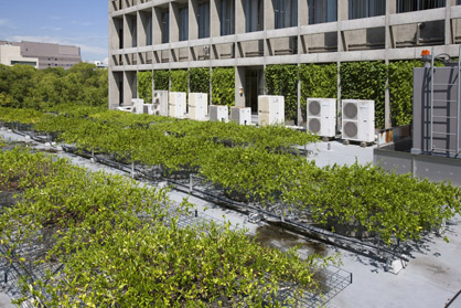 有限会社四国造園 様