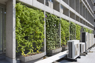 有限会社四国造園 様