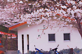 有限会社前畑建材店 様