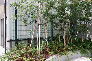 原田トレーディング株式会社 様