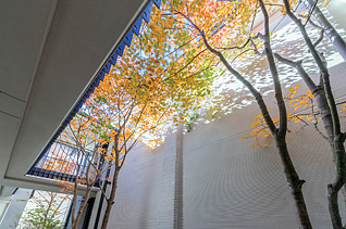 ワールドビジネス株式会社 様