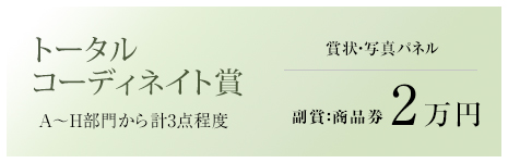 トータルコーディネイト賞